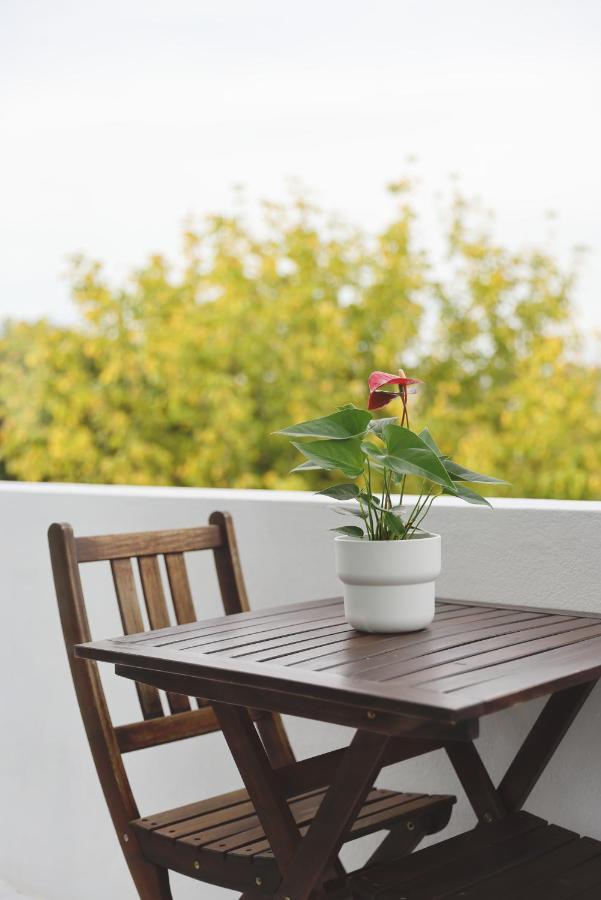 Boavista Sunlit Duplex With Terrace Apartamento Porto Exterior foto